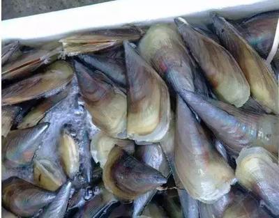 通报！惠州市食药监局抽检75批次食品，这些被查出不合格！豆及薯类